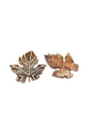 Brinco Resplandecer Vintage de folha com strass
