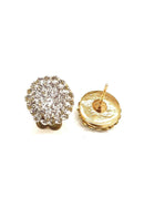 Brinco Suzy cristal banhado no dourado